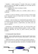 Referāts 'SIA "Andrea" saimnieciskā darbība un attīstības iespējas', 8.