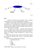 Referāts 'SIA "Andrea" saimnieciskā darbība un attīstības iespējas', 9.