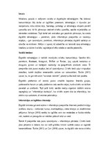 Eseja 'Ekrāni un cilvēki: digitālo tehnoloģiju transformējošā loma mūsdienu sabiedrībā', 1.