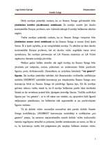 Referāts 'Starptautiskais finanšu līzings', 5.