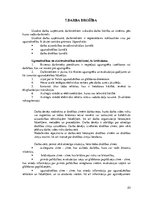 Prakses atskaite 'Ēdināšanas uzņēmums', 23.