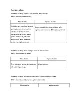 Prakses atskaite 'Aprūpes plāns pediatrijā. Neiroloģijas un hemoonkoloģijas nodaļa', 13.