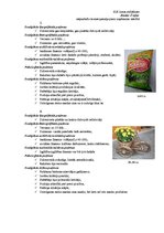 Konspekts 'Tirgus segmentācija', 2.