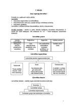 Konspekts 'Lietvedība', 1.