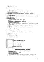 Konspekts 'Lietvedība', 13.