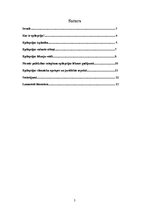 Referāts 'Epilepsija un ētika', 2.