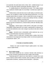 Referāts 'Dzimumu stereotipi', 6.