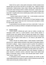 Referāts 'Dzimumu stereotipi', 7.