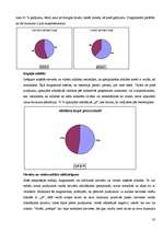 Referāts 'Dzimumu stereotipi', 20.