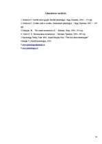 Referāts 'Dzimumu stereotipi', 24.