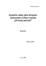 Eseja 'Jauniešu mīlas jūtu tēlojums Aleksandra Grīna romānā "Dvēseļu putenis"', 1.