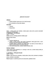 Konspekts 'Problēmu risināšanas prasmju trenēšanas programma', 5.