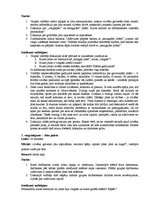 Konspekts 'Problēmu risināšanas prasmju trenēšanas programma', 6.