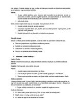 Konspekts 'Problēmu risināšanas prasmju trenēšanas programma', 12.