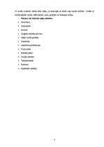 Referāts 'Kreativitāte jeb radošums', 6.