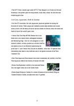 Referāts 'The United States of America - one of the Largest Countries in the World', 15.