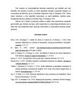 Referāts 'Galvas smadzeņu funkcionālā asimetrija', 5.