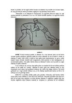 Konspekts 'Kinezioloģija - brīvās cīņas analīze', 4.