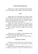 Referāts 'Kuldīga', 5.