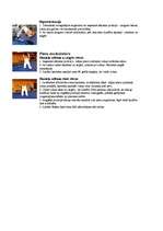 Konspekts 'Vingrinājumi', 2.