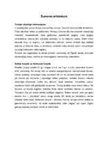 Konspekts 'Šumeras arhitektūra', 1.