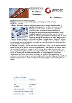 Referāts 'Investīcijas vērtspapīros', 14.