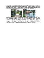 Referāts 'Franču dārzi', 2.