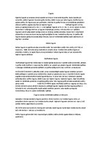 Konspekts 'Čuguna veidi un apraksts', 1.