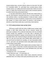 Diplomdarbs 'Komercbanku darbība FOREX tirgū', 51.