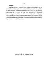 Diplomdarbs 'Komercbanku darbība FOREX tirgū', 66.