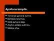 Prezentācija 'Grieķija, Delfi, Apollons', 13.
