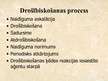 Prezentācija 'Drošības tendences Tuvajos Austrumos: Libānas - Izraēlas konfliktu analīze', 10.