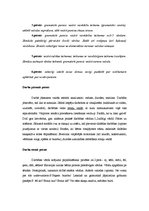 Referāts 'Alālija - bērna runas mazattīstība vai neattīstība', 4.