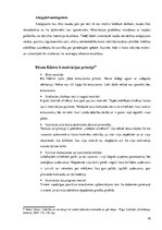 Referāts 'Efektīvā personāla motivēšana', 16.