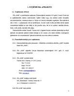 Biznesa plāns 'Biznesa plāns', 2.