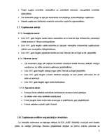 Biznesa plāns 'Biznesa plāns', 4.