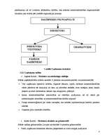 Biznesa plāns 'Biznesa plāns', 5.