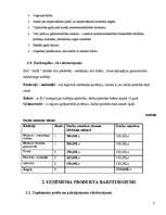 Biznesa plāns 'Biznesa plāns', 6.