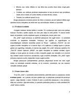 Biznesa plāns 'Biznesa plāns', 8.