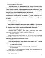 Biznesa plāns 'Biznesa plāns', 10.