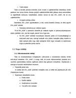 Biznesa plāns 'Biznesa plāns', 11.