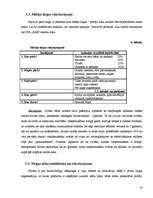 Biznesa plāns 'Biznesa plāns', 13.