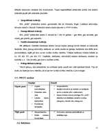 Biznesa plāns 'Biznesa plāns', 14.