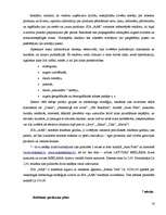 Biznesa plāns 'Biznesa plāns', 15.