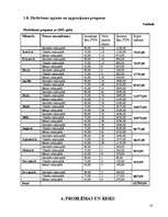 Biznesa plāns 'Biznesa plāns', 17.