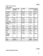 Biznesa plāns 'Biznesa plāns', 21.