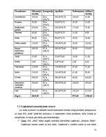 Biznesa plāns 'Biznesa plāns', 22.