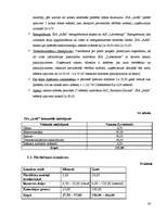 Biznesa plāns 'Biznesa plāns', 23.