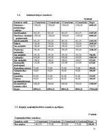 Biznesa plāns 'Biznesa plāns', 24.