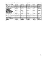 Biznesa plāns 'Biznesa plāns', 25.